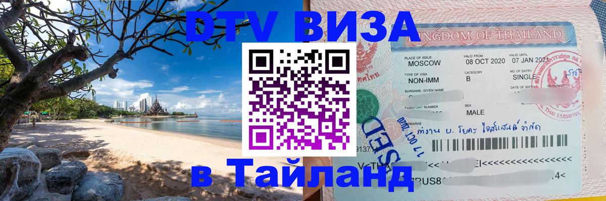 Оформление DTV визы под ключ: стоимость и тарифы, только загранпаспорт - Тирасполь  21.11.2025 